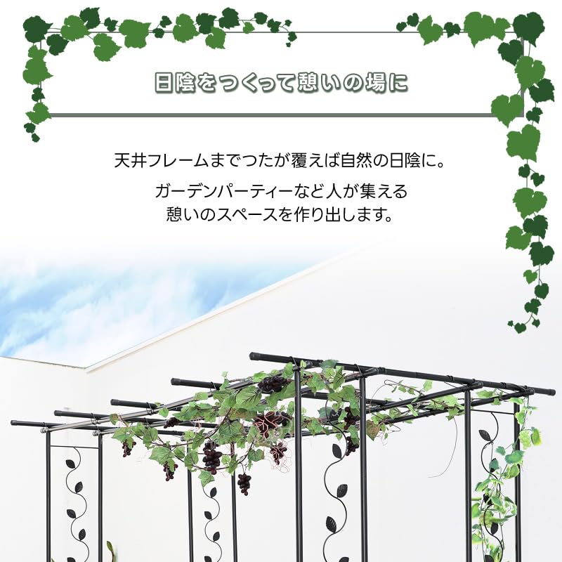 【新着商品】リビングアウト(Living Out) フルーツパーゴラ ブラック Amazon | リビングアウト(Living Out) フルーツパーゴラ ブラック (小